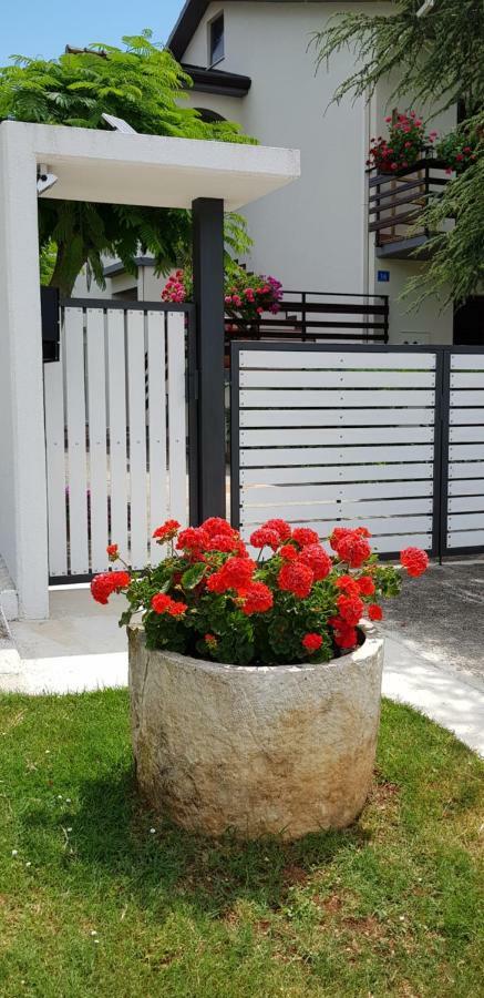 Fiori Apartment Umag Exterior photo