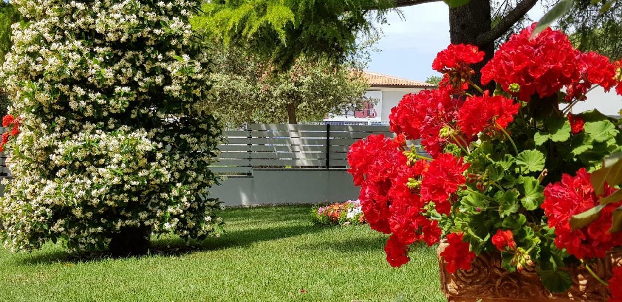 Fiori Apartment Umag Exterior photo